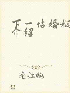 下一站婚姻剧情介绍