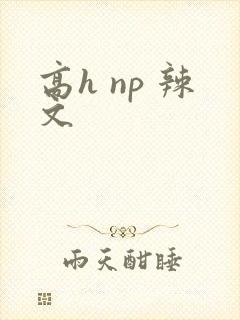 高h np 辣文