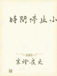 时间停止小说