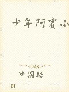 少年阿宾小说