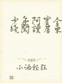 少年阿宾全文在线阅读房东太太
