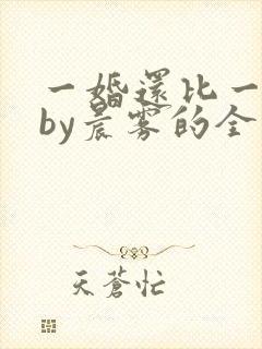 一婚还比一婚高by晨雾的全文阅读封面