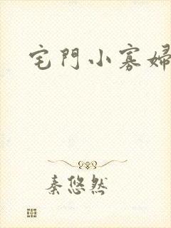 宅门小寡妇