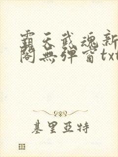 霸天武魂新笔趣阁无弹窗txt