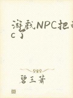 游戏NPC把我c了