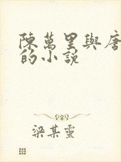 陈万里与唐嫣然的小说