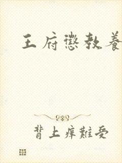 王府惩教养日常封面