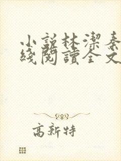 小说林洁秦齐在线阅读全文封面