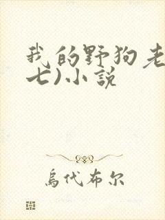 我的野狗老公(七)小说