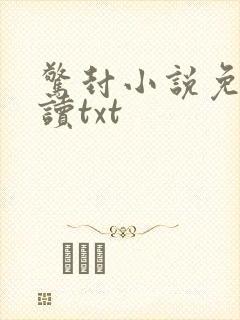 惊封小说免费阅读txt