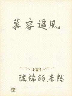 慕容追风封面
