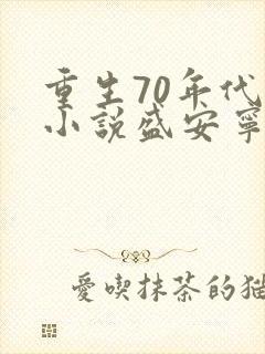 重生70年代的小说盛安宁
