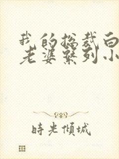 我的总裁白富美老婆系列小说