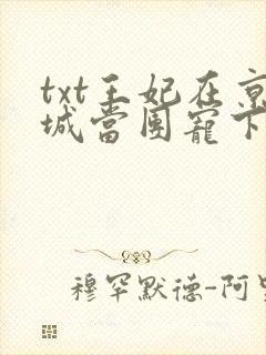 txt王妃在京城当团宠下载