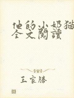 他的小奶猫小说全文阅读