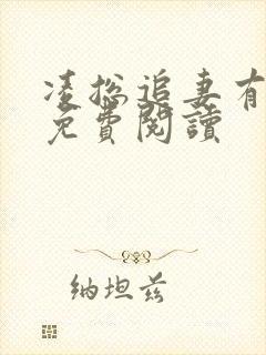 凌总追妻有些甜免费阅读