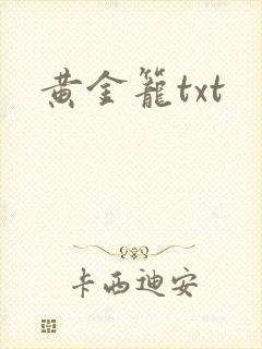 黄金笼txt