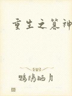 重生之篡神