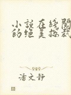 小说在线阅读我的绝美总裁老婆