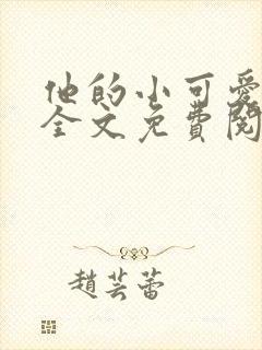 他的小可爱小说全文免费阅读封面