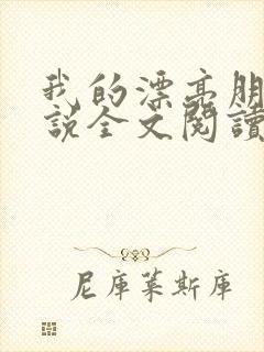 我的漂亮朋友小说全文阅读