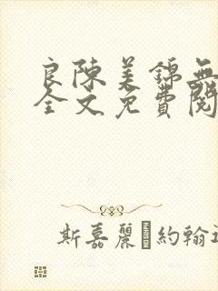 良陈美锦无删减全文免费阅读封面