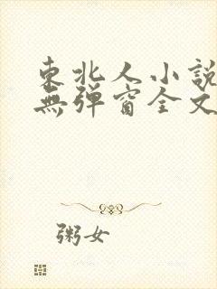 东北人小说免费无弹窗全文阅读封面