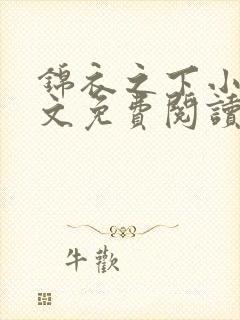 锦衣之下小说全文免费阅读无弹窗封面