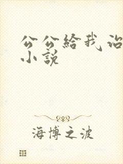 公公给我治疗的小说