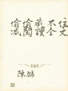 偷偷藏不住无删减阅读全文