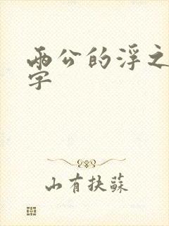两公的浮之手中字