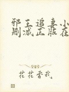邪王追妻小说无删减正版在线阅读