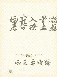 婚宠入骨:总裁老公撩上瘾封面