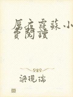 厉夜霆苏小汐免费阅读