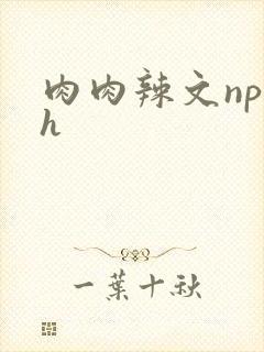 肉肉辣文np高h
