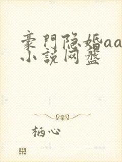 豪门隐婚aa制小说网盘封面