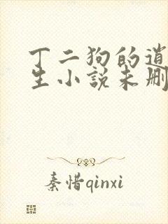 丁二狗的逍遥人生小说未删减完整版封面