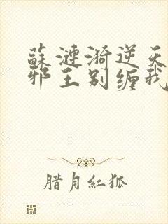 苏涟漪逆天狂妃邪王别缠我