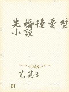先婚后爱双男主小说