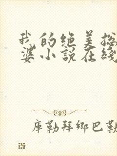 我的绝美总裁老婆小说在线阅读封面