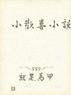 小欢喜小说