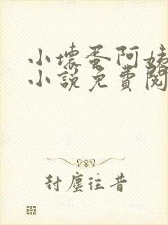 小坏蛋阿姨官场小说免费阅读封面