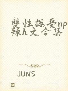 双性总受np高辣h文合集