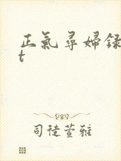 正气寻妇录txt