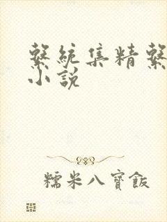 系统集精系统 小说