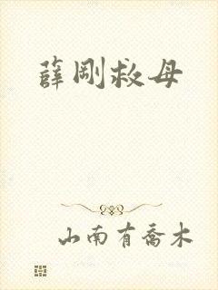 薛刚救母