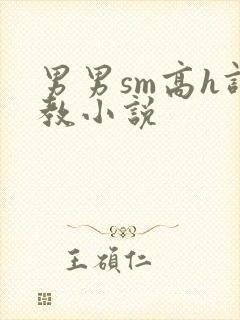 男男sm高h调教小说