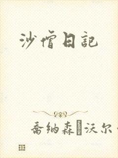 沙僧日记封面
