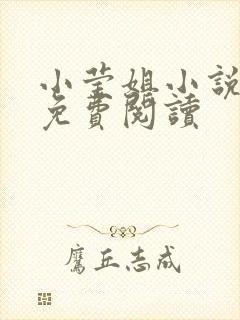 小莹姐小说全文免费阅读封面