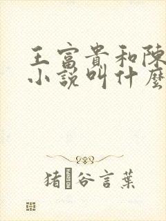 王富贵和陈芸的小说叫什么